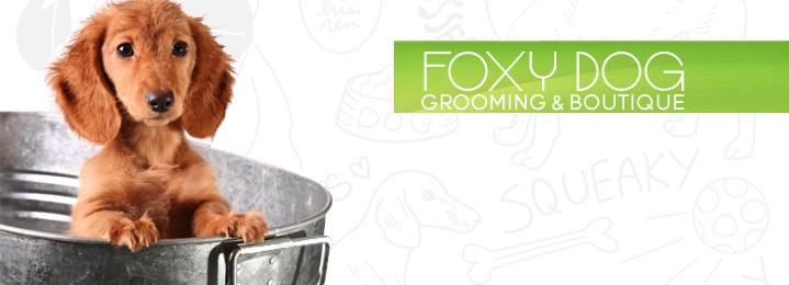 Foxy Dog Grooming