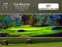 62% off 18 holes of golf for 2 People at Bear Mountain Resort (with GPS Power Cart, Range Balls, Tees & $20 credit at Academy) ?>