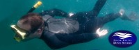 50% off 3-Hour Snorkeling Adventure with Frank White's Dive Shop in Victoria! ?>
