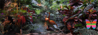 Save 50% off Admission for 2 Adults OR Family Admission at The Victoria Butterfly Gardens! (taxes payable at venue) ?>