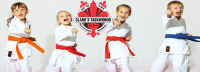 Save 90% off 10 OR 20 Kids Martial Arts Classes at Clark's Taekwondo in Victoria! ?>
