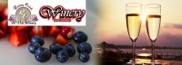 Save 50% off a $90 Voucher at Rainy Crick Winery in Nanaimo OR the Winery at Coombs! Perfect for Making Wine, Champagne, Fruit Wine, Beer, and Cider! ?>