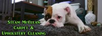 Save 51% on a Spring-Time Carpet Cleaning with Steam McClean in Courtenay and Comox Valley! Additional Locations Available! ?>