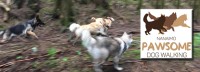 Save 50% on Two 2Hr Off-Leash Hikes with Nanaimo Pawsome Dog Walking! ?>