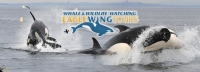 Save 50% on a Whale & Wildlife Watching Tour, only @ Eagle Wing Tours in Victoria! ?>