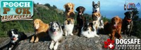 Save 48% on a 2-hour Off-Leash Group Hike with Pooch Pack Adventures in Nanaimo! Expanding & Accepting New Awesome Pooches Now! ?>