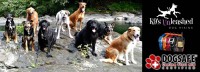 Save 43% on an All-Inclusive Off-Leash Adventure Hike with K9's Unleashed Dog Hiking in Nanaimo! Includes Pick Up & Drop Off! ?>