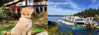 Save 30% on a 2-Night Stay for One or Two with La Belle Vie B&B and Wellness Studio on Gabriola Island! 2023 Special! ?>