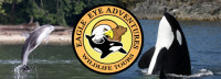 Spring Special! Save 45% on a 4-hour Wildlife Tour featuring Whale Watching with Eagle Eye Adventures in Campbell River May through September 2023! ?>